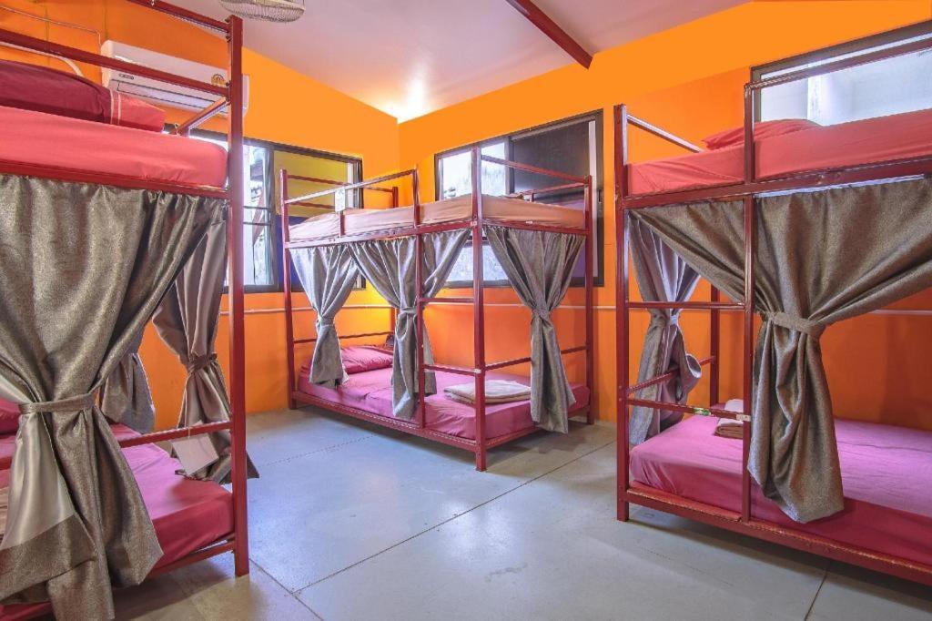 Oyo 586 I Hostel *